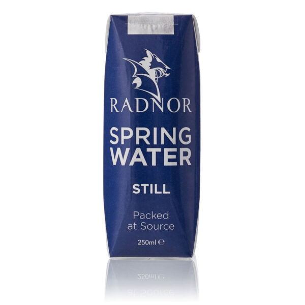 Radnor Still Water Cartons 250ml x 24